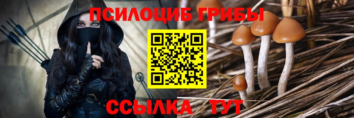 Азов  Псилоцибиновые грибы Cubensis  Псилоцибиновые грибы Magic Shrooms  Вход с VPN 