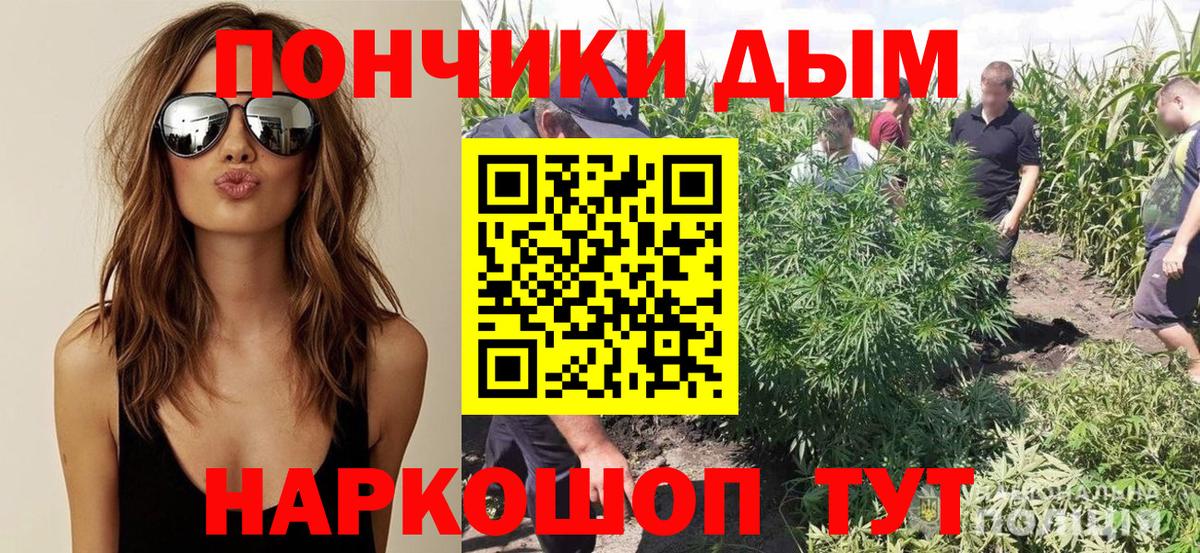 Канабис сатива Азов